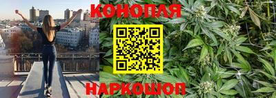 прущие грибы Пенза