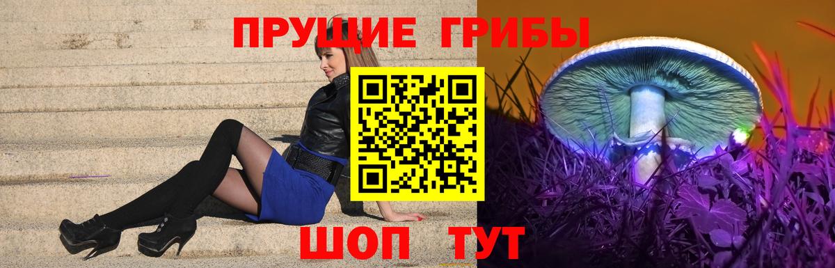 Томск  Псилоцибиновые грибы Psilocybine cubensis  где можно купить наркотик  Вход с VPN 